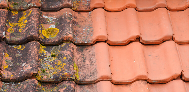 屋根塗装のビフォーアフター写真